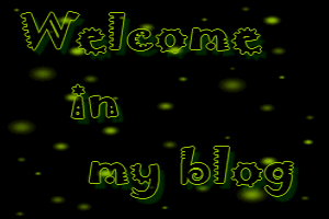 ~�Bienvenue dans mon blog�~